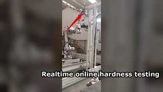 Online tragbarer Leeb-Härteprüfer